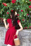 Ndyad V-neck flying sleeves dress HZ1024